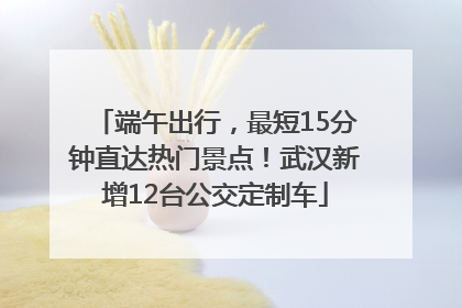 端午出行，最短15分钟直达热门景点！武汉新增12台公交定制车