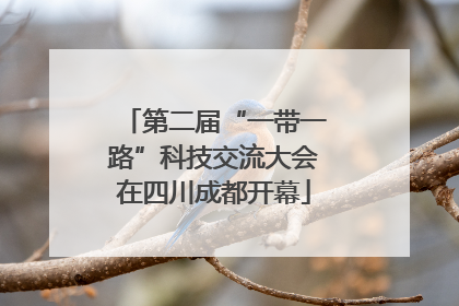 第二届“一带一路”科技交流大会在四川成都开幕