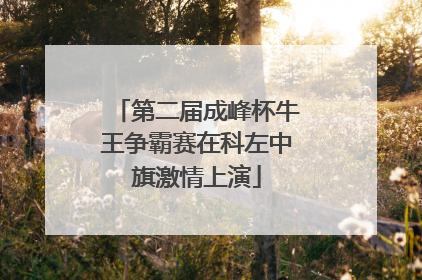 第二届成峰杯牛王争霸赛在科左中旗激情上演