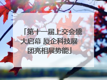 第十一届上交会盛大启幕 厦企科技展团亮相展势能