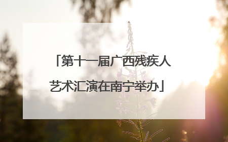 第十一届广西残疾人艺术汇演在南宁举办
