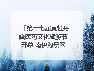 第十七届黄牡丹藏医药文化旅游节开幕 南伊沟景区重新开放