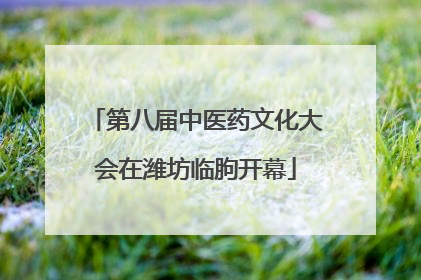 第八届中医药文化大会在潍坊临朐开幕