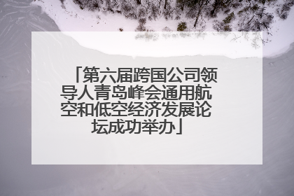 第六届跨国公司领导人青岛峰会通用航空和低空经济发展论坛成功举办