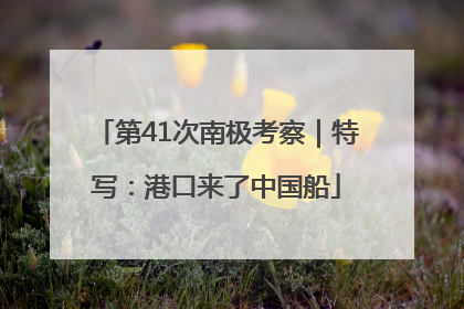 第41次南极考察｜特写：港口来了中国船