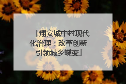 翔安城中村现代化治理：改革创新引领城乡蝶变