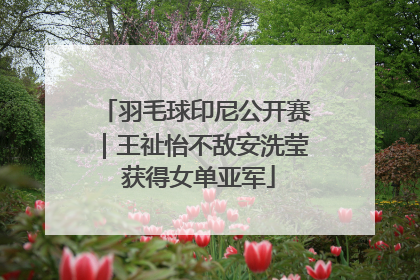 羽毛球印尼公开赛｜王祉怡不敌安洗莹 获得女单亚军