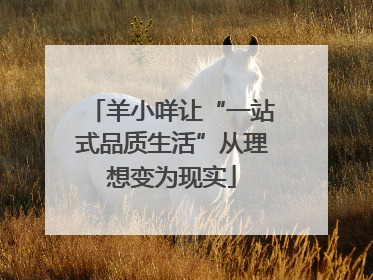 羊小咩让“一站式品质生活”从理想变为现实