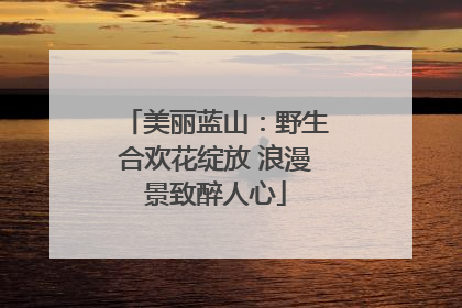 美丽蓝山：野生合欢花绽放 浪漫景致醉人心