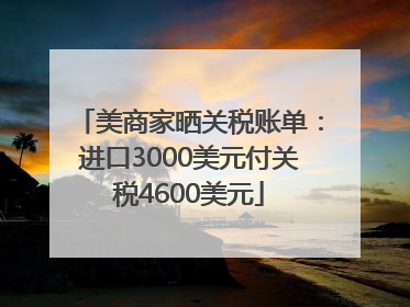 美商家晒关税账单：进口3000美元付关税4600美元