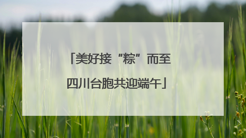 美好接“粽”而至 四川台胞共迎端午