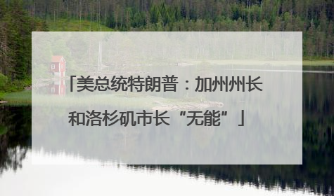 美总统特朗普：加州州长和洛杉矶市长“无能”