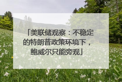 美联储观察：不稳定的特朗普政策环境下，鲍威尔只能旁观