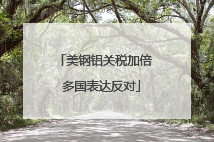 美钢铝关税加倍 多国表达反对