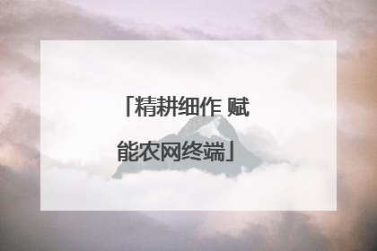 精耕细作 赋能农网终端