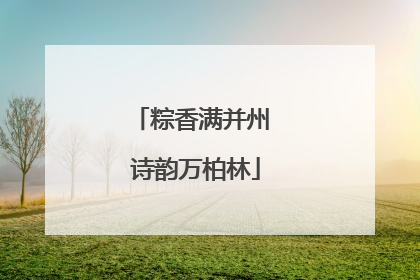 粽香满并州 诗韵万柏林