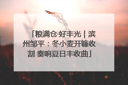 粮满仓·好丰光｜滨州邹平：冬小麦开镰收割 奏响夏日丰收曲