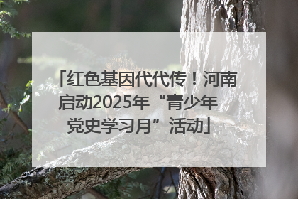 红色基因代代传！河南启动2025年“青少年党史学习月”活动