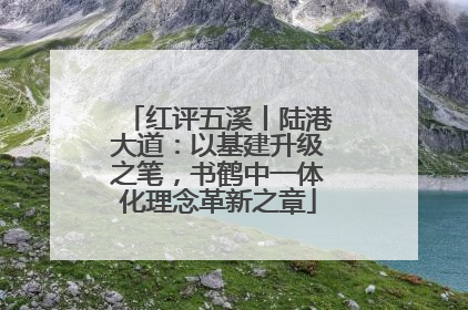 红评五溪丨陆港大道：以基建升级之笔，书鹤中一体化理念革新之章