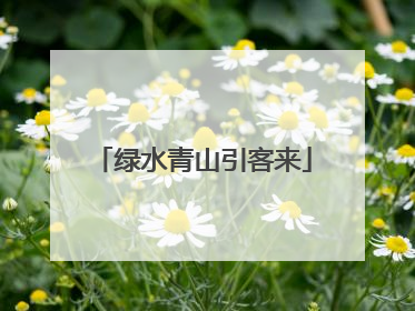 绿水青山引客来