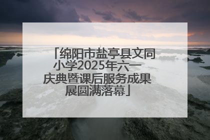 绵阳市盐亭县文同小学2025年六一庆典暨课后服务成果展圆满落幕