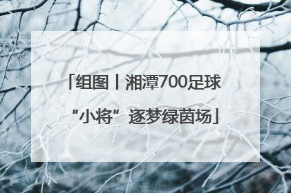 组图丨湘潭700足球“小将”逐梦绿茵场