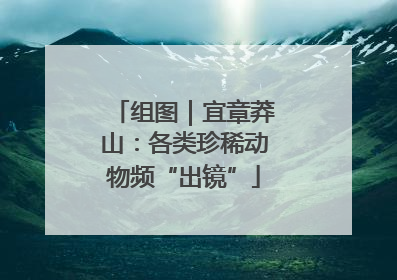 组图｜宜章莽山：各类珍稀动物频“出镜”