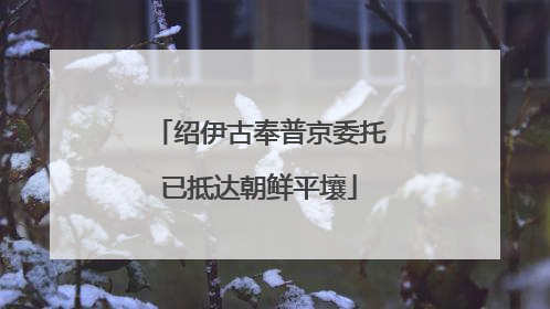 绍伊古奉普京委托已抵达朝鲜平壤