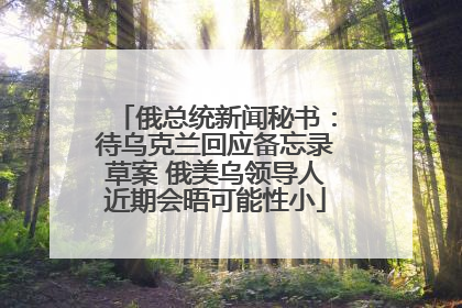俄总统新闻秘书：待乌克兰回应备忘录草案 俄美乌领导人近期会晤可能性小