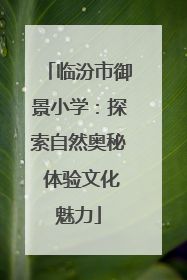 临汾市御景小学：探索自然奥秘 体验文化魅力