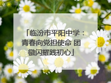 临汾市平阳中学：青春向党担使命 团徽闪耀践初心