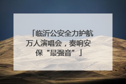 临沂公安全力护航万人演唱会，奏响安保“最强音”