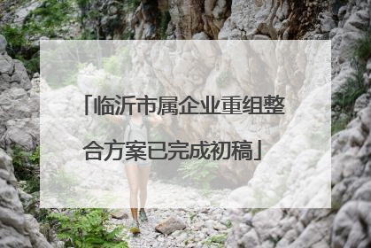 临沂市属企业重组整合方案已完成初稿