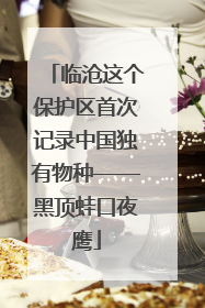 临沧这个保护区首次记录中国独有物种——黑顶蛙口夜鹰