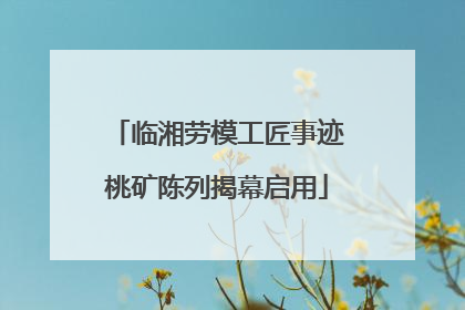 临湘劳模工匠事迹桃矿陈列揭幕启用