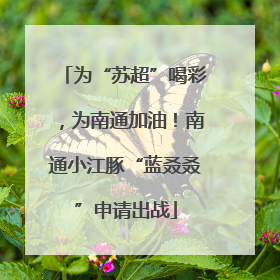 为“苏超”喝彩，为南通加油！南通小江豚“蓝叒叒”申请出战