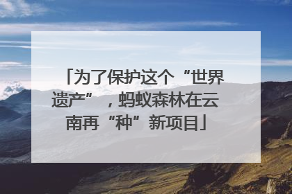 为了保护这个“世界遗产”，蚂蚁森林在云南再“种”新项目