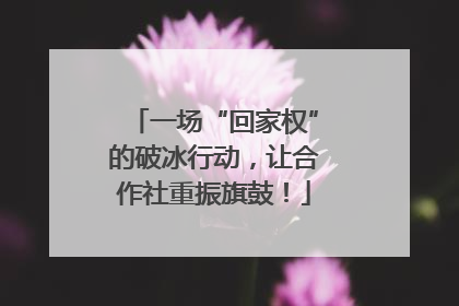 一场“回家权”的破冰行动，让合作社重振旗鼓！