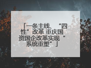 一条主线、“四性”改革 重庆国资国企改革实现“系统重塑”
