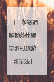 一条赛道解锁苏州望亭乡村旅游新玩法