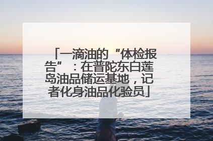 一滴油的“体检报告”：在普陀东白莲岛油品储运基地，记者化身油品化验员