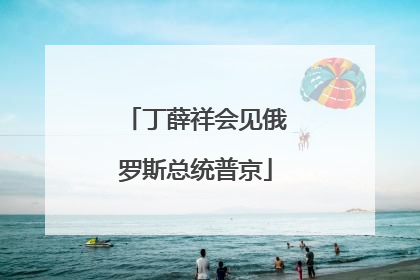 丁薛祥会见俄罗斯总统普京