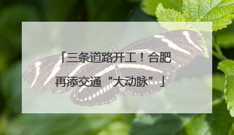 三条道路开工！合肥再添交通“大动脉”
