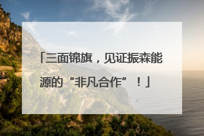三面锦旗，见证振森能源的“非凡合作”！