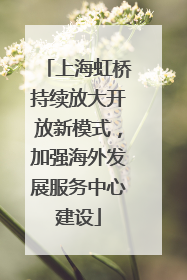 上海虹桥持续放大开放新模式，加强海外发展服务中心建设