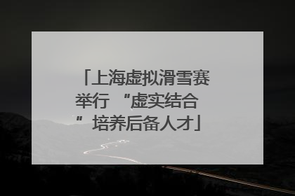 上海虚拟滑雪赛举行 “虚实结合”培养后备人才