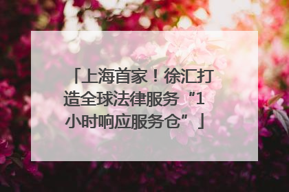上海首家！徐汇打造全球法律服务“1小时响应服务仓”