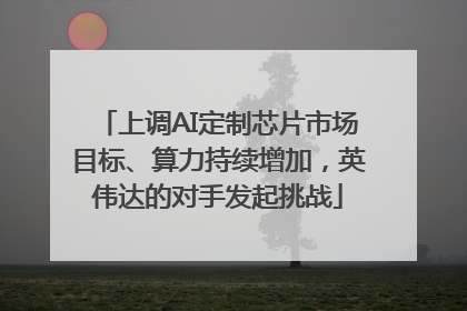 上调AI定制芯片市场目标、算力持续增加，英伟达的对手发起挑战