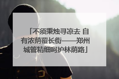 不须秉烛寻凉去 自有浓荫覆长街——郑州城管精细呵护林荫路