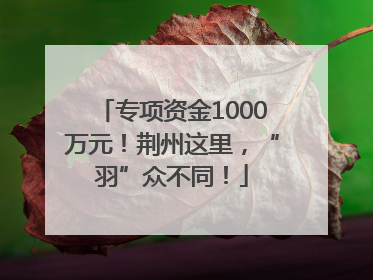 专项资金1000万元！荆州这里，“羽”众不同！